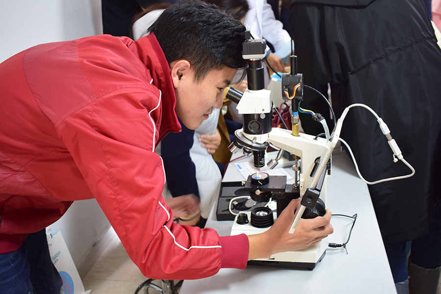 ballbet������(�й�)����ɭ����