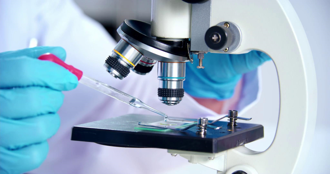 ballbet±´²©¡¤(Öйú)°¬¸¥É¹ÙÍø