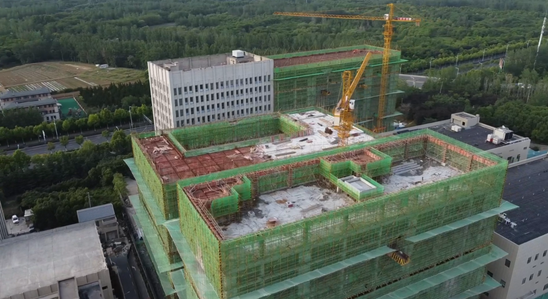 ballbet������(�й�)����ɭ����